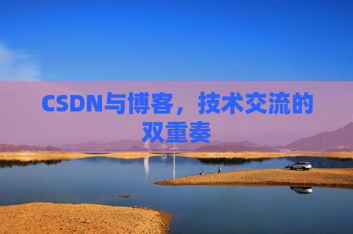 CSDN与博客，技术交流的双重奏